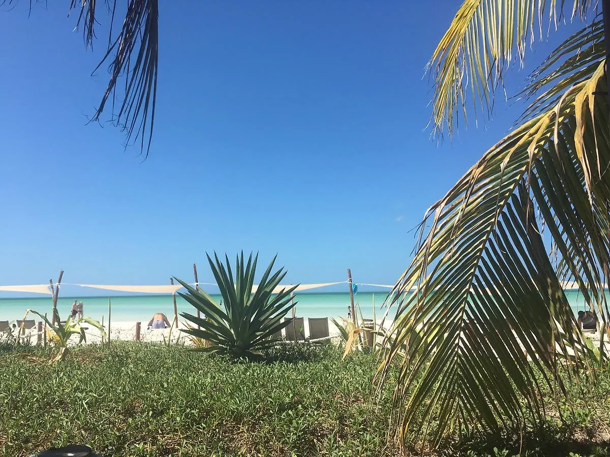 Lovebox Ξενοδοχείο Isla Holbox